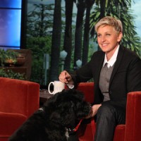 Let’s Get Maybelle to the Ellen Show Auction