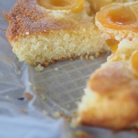 gfapricot cake