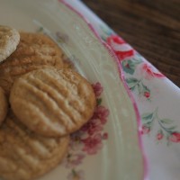 anzac biscuits