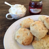 best ever scones in the thermomix