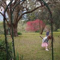 weekend in kangaroo valley