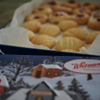 vanilla biscuits in the thermomix